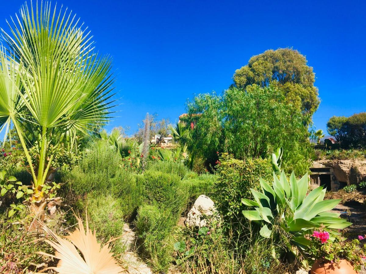 Tenerife Nature Retreat Ifonche Exterior photo