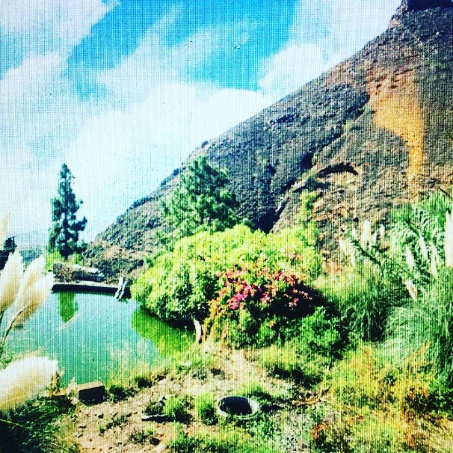 Tenerife Nature Retreat Ifonche Exterior photo